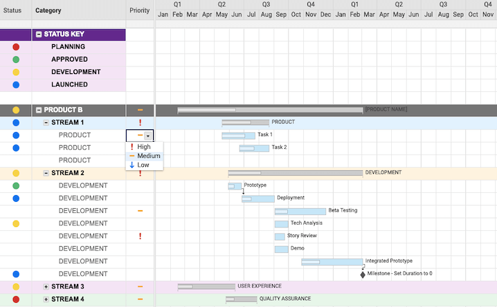 Project Roadmap with Priorities