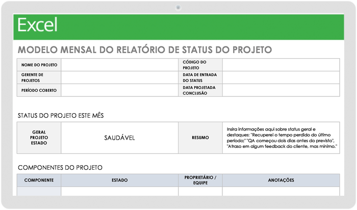 Relatório Mensal de Status do Projeto